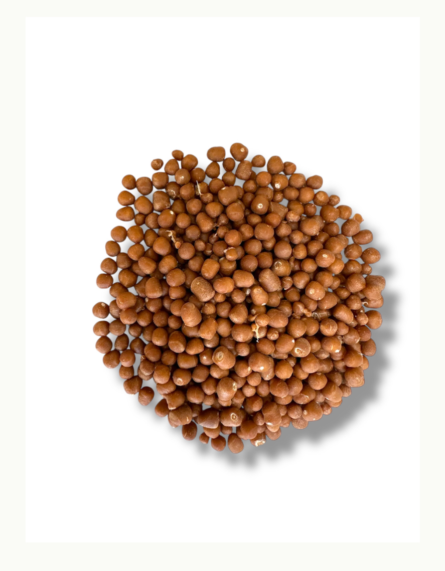 NaturaSheet 300 bio-based resin pellets